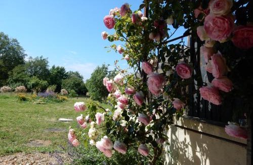 Saint-Martin-du-Fouilloux House | Hébergement près d Angers