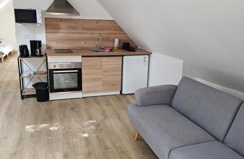 Bourg-et-Comin Apartment | Hébergement Cosy