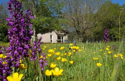 Cuxac-Cabardes Ski Chalet | Hébergement Nature à 25 Minutes de Carcassonne