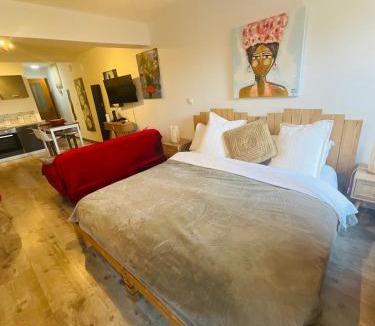 Mirepoix Apartment | Hôte Labyrinthe sur la place chambres d, hôtes , calme ,Netflix