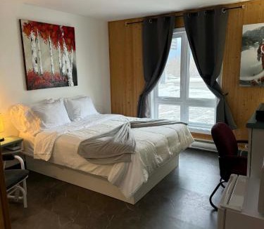 St. Felicien Hotel | Hôtel Auberge St-Félicien