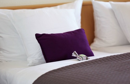 La Tour-de-Peilz Hotel | Hôtel Bon Rivage
