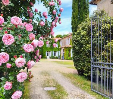 Semussac Hotel | Hôtel Château de Didonne