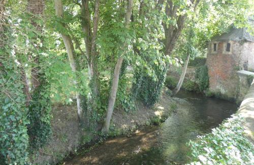 Pont-l'Eveque Hotel | Hôtel de France