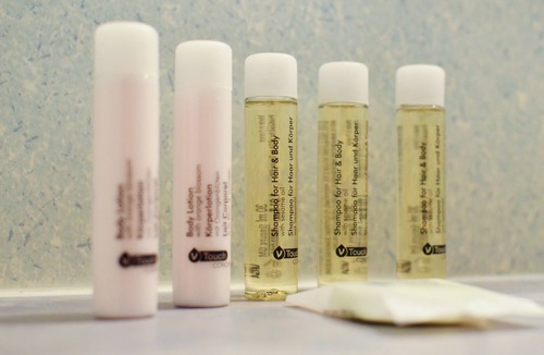 Saint-Savin Hotel | Hôtel de France