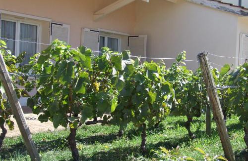 Chagny Hotel | Hôtel de la Poste