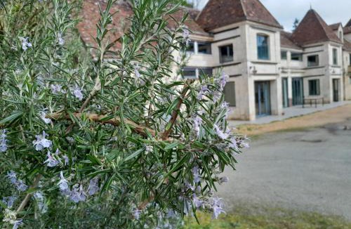 Remalard-en-Perche Apartment | Hôtel des arts- Gîte cinéma dans le Perche