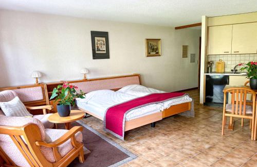 Saillon Hotel | Hôtel des Bains de Saillon