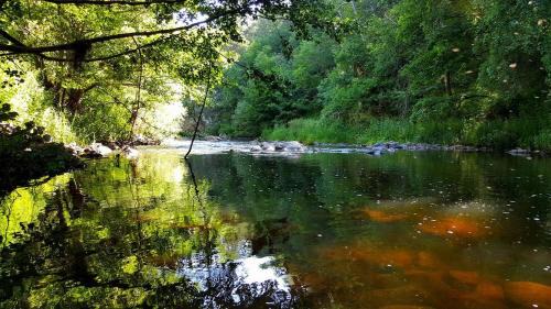 Saint-Georges Hotel | Hôtel du Bout du Monde