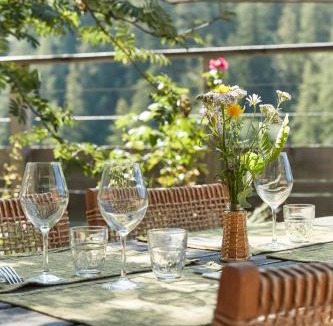 Belvedere Hotel | Hôtel du Grand Capelet