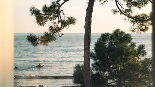 Saint-Palais-sur-Mer Hotel | Hôtel Hemen