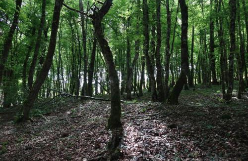 Moux-en-Morvan Hotel | Hôtel l'Annexe