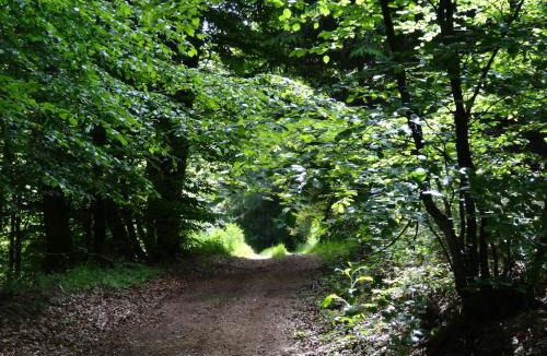 Moux-en-Morvan Hotel | Hôtel l'Annexe