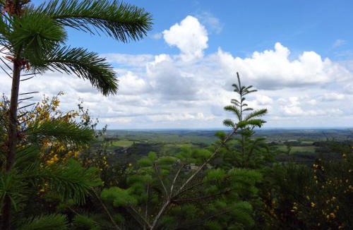 Moux-en-Morvan Hotel | Hôtel l'Annexe