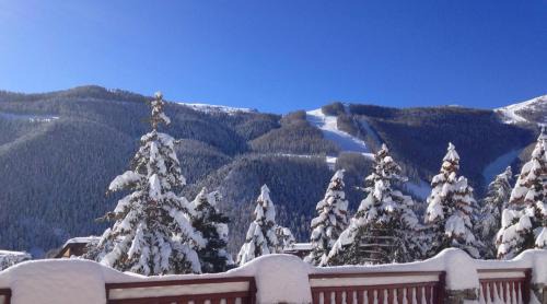 Saint-Etienne-de-Tinee Hotel | Hôtel Le Chalet d'Auron Restaurant et Spa