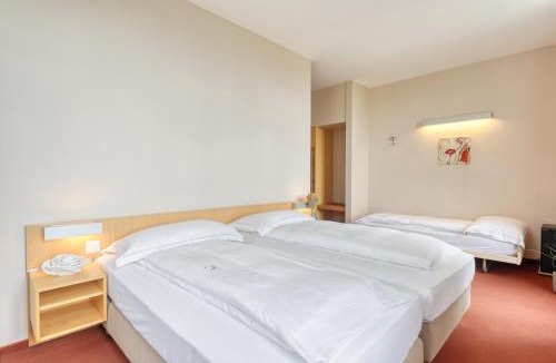 Cossonay Hotel | Hôtel Le Funi de Cossonay