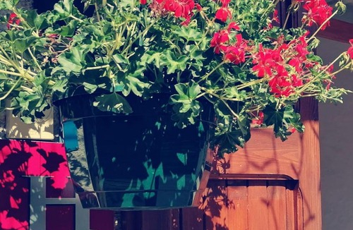 Vars Hotel | Hôtel Le Lievre Blanc