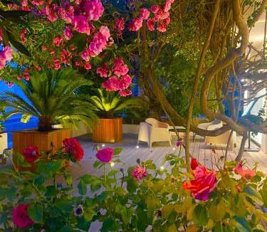 Porto-Vecchio Hotel | Hôtel Le Mistral