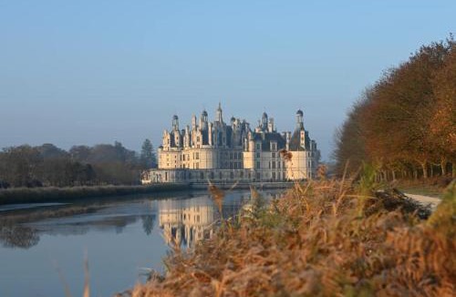 Saint-Laurent-Nouan Hotel | Hôtel Le Verger