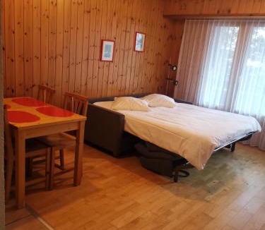 Ovronnaz Hotel | Hôtel Les Bains d'Ovronnaz