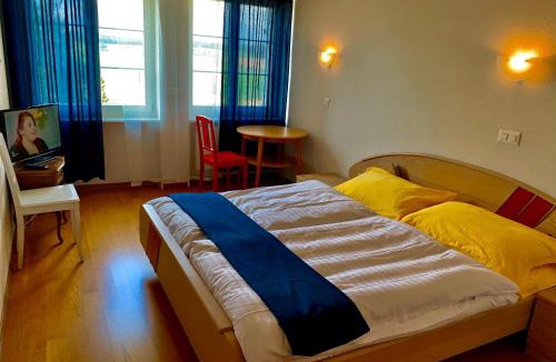 Romont Hotel | Hôtel Lion d'Or Romont