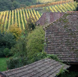 Rodern Hotel | Hôtel Pêche de Vigne Restaurant & Spa