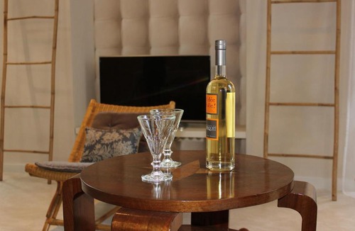 Sarlat-la-Caneda Historic Center Apartment | Hôtel particulier de Monméja