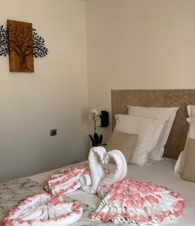 Draguignan Hotel | Hôtel Provence