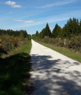 Saint-Medard-en-Jalles Hotel | Hôtel Restaurant Les Bruyères