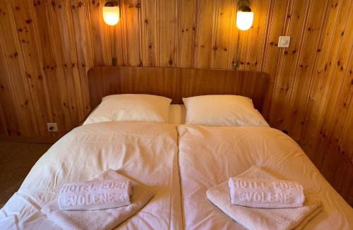 Evolene Hotel | Hôtel Restaurant Eden