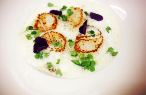 Ladoix-Serrigny Hotel | Hôtel-Restaurant "La Gremelle"