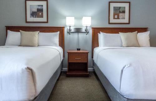 Quartier des Spectacles Hotel | Hôtel Saint-Laurent Montréal
