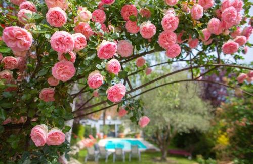 Amboise Hotel | Hôtel Spa - Au Charme Rabelaisien