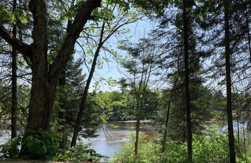 Rawdon Other | Hôtel UNIQ - Forêt Ô Cascades