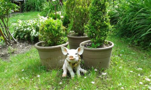 Belfort Hotel | Hôtel Vauban