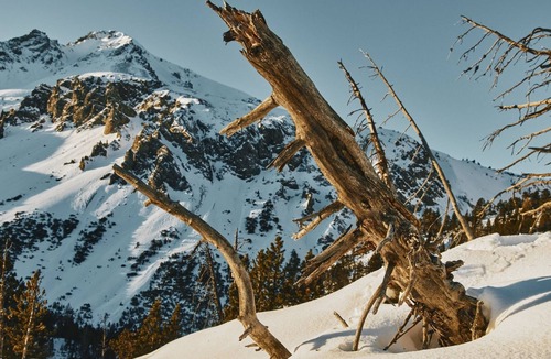 Zernez House | Hütte Ova Spin il Cuvel, (Zernez). by Interhome