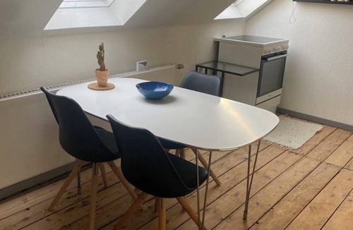 Odense House | H.C. Andersen went to school opposite us You are right in the center