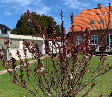 Naesby Apartment | H. C. Lumbyes Vej - kælderlejlighed
