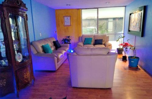 Coyoacan Bed & Breakfast | Habitación amplia cerca de Tlalpan