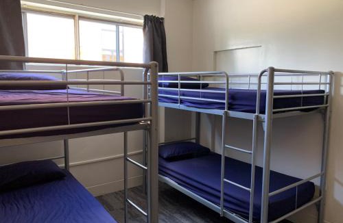 Brisbane Central Business District Hostel | Habitat Backpackers