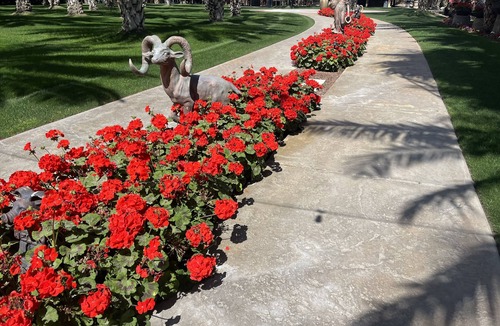 Thousand Palms House | Hacienda Nestled in Private Date Grove close to Palm Springs