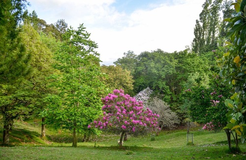 Tiniroto Cottage | Hackfalls Arboretum Cottage
