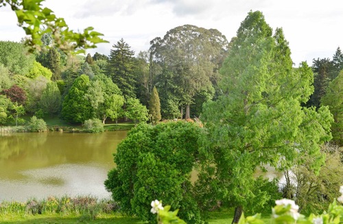 Tiniroto Cottage | Hackfalls Arboretum Cottage