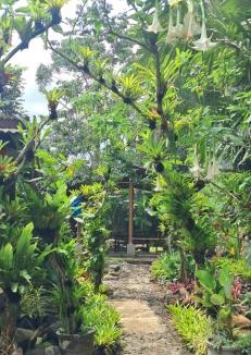 Banyuwangi House | Hadi Homestay Garden View