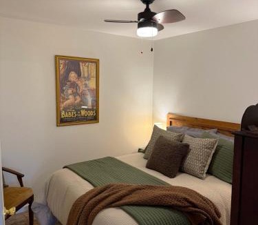 Fredericktown House | Hahns Mill House at Amidon on Castor River