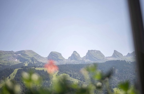 Wildhaus-Alt St. Johann Apartment | HALDENHOF SCHWIZER by Interhome