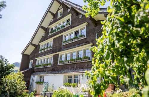Wildhaus-Alt St. Johann Apartment | HALDENHOF SCHWIZER by Interhome