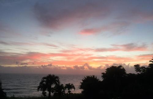 Ninole House | Hale Hamakua home