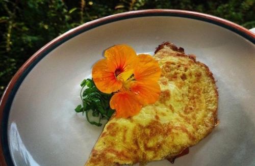 Holualoa Bed & Breakfast | Hale Hualalai