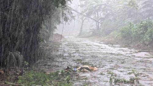 Naalehu House | Hale Naalehu LLC